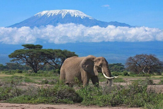 3 Days Amboseli National Park