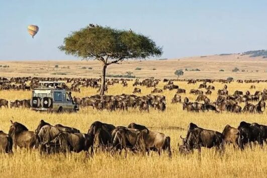 3 days Maasai Mara