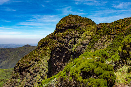 1 day Elephant Hill Hike