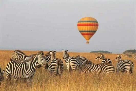 7 Days Maasai Mara - Lake Nakuru - Samburu