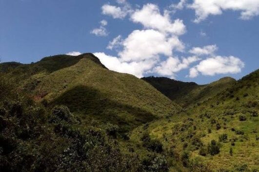 Irangi Forest & Fall Hike