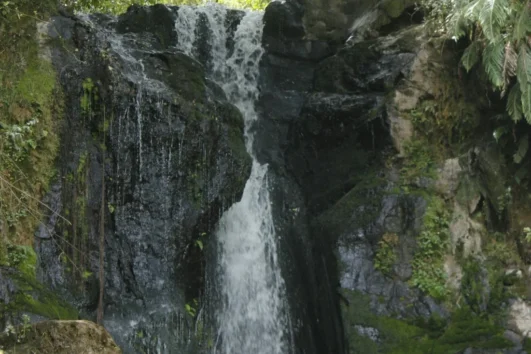 Kereita Forest & Caves Hike