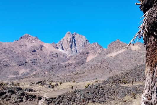 13 Days Mt Kenya - Samburu - Lake Nakuru - Maasai Mara - Amboseli - Tsavo West Trip