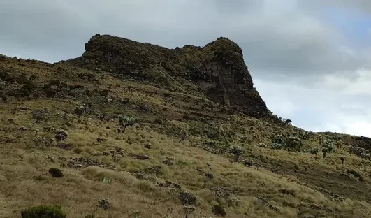 Mt. Kinangop & 12Apostles Hike