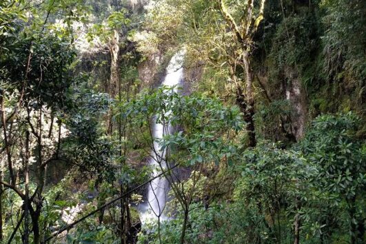 Ragia Forest Trek and Waterfall Chase.