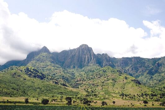Usambara Mountains